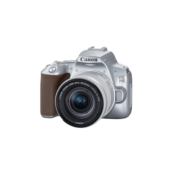 APPAREIL PHOTO REFLEX NUMÉRIQUE 24.1 MP CANON EOS 250D / SILVER