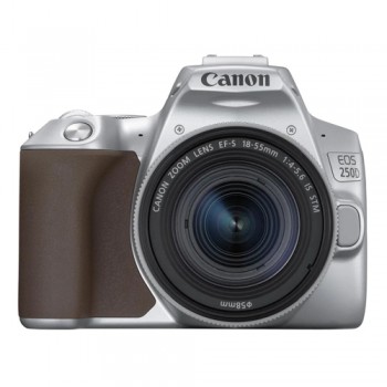 APPAREIL PHOTO REFLEX NUMÉRIQUE 24.1 MP CANON EOS 250D / SILVER
