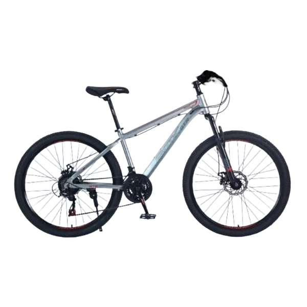 BICYCLETTE ENFANT JAD59-6 26'' AVEC DEUX ROUES STABILISATRICE ARGENT