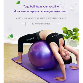 Balle de Yoga 65cm, balle d’équilibre, de Fitness