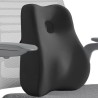 Coussin lombaire chaise bureau