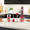 Mixeur Plongeant 3en1 RUSSELL HOBBS Desire Red 500W